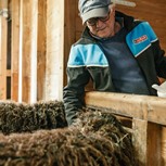 Wasti Madreiter streichelt Schafe im Stall, Bio-Bauernhof Embachhof, Puradies Leogang