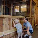 Vater und Sohn beim Eiersuchen im Hühnerstall, Bio-Bauernhof Embachhof, Puradies Leogang