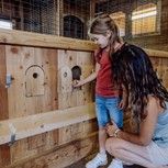 Kind beim Eiersammeln im Hühnerstall, Bio-Bauernhof Embachhof, Puradies Leogang