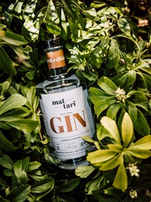 Mattari Gin – First Edition des Naturresorts Puradies, Leogang Mattari Gin Flasche im dichten Grün, Naturresort Puradies Leogang