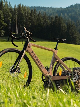 Puradies Puradies e-gravel bike with wooden frame on a meadow, Naturresort Puradies in Leogang