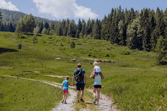 Familie wandert an Kuhweide vorbei, Naturresort Puradies in Leogang