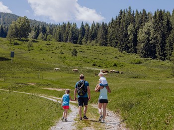 Familie wandert auf Almweg an Kuhweide vorbei – Naturresort Puradies, Leogang, Salzburger Land Familie wandert an Kuhweide vorbei, Naturresort Puradies in Leogang