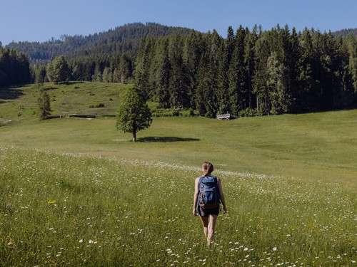 Wanderin auf blühender Wiese am Sonnenplateau – Naturresort Puradies, Leogang, Salzburger Land Wanderin auf Blumenwiese am Sonnenplateau, Naturresort Puradies in Leogang