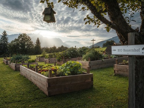 Gemüsebeete des Bio-Bauernhofs bei Sonnenaufgang mit Wegweiser – Naturresort Puradies, Leogang, Salzburger Land Gemüsebeete des Bio-Bauernhofs bei Sonnenaufgang, Puradies Leogang