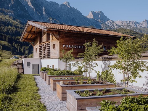 Kräuterbeete vor dem Saunahaus mit Bergpanorama – Naturresort Puradies, Leogang, Salzburger Land Kräuterbeete vor dem Saunahaus, Naturresort Puradies in Leogang