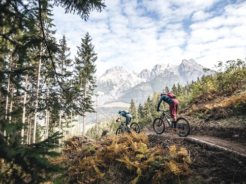 Zwei Mountainbiker auf Waldtrail mit Blick auf die Leoganger Steinberge – Naturresort Puradies, Leogang, Salzburger Land Zwei Mountainbiker auf Waldtrail vor Steinbergen, Naturresort Puradies in Leogang