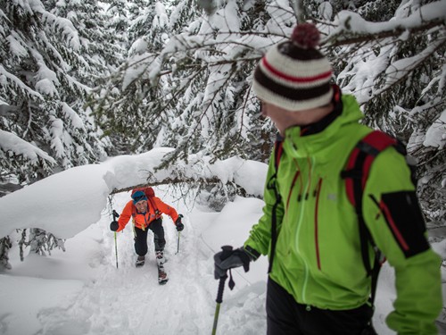 Zwei Skitourengeher unter schneebedeckten Ästen im Winterwald – Naturresort Puradies, Leogang, Salzburger Land Zwei Skitourengeher unter Ästen im Winterwald, Naturresort Puradies