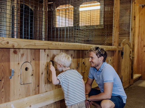 Kind entdeckt die Tiere am Embachhof – Naturresort Puradies, Leogang Kind und Erwachsener bei Kleintierställen, Embachhof Puradies