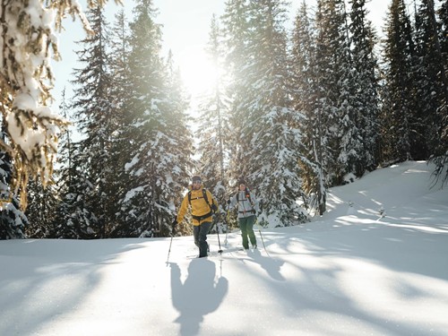 Zwei Skitourengeher zwischen Fichten im Sonnenlicht, Naturresort Puradies