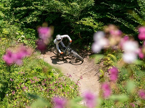Mountainbiker in Kurve auf Waldtrail, Naturresort Puradies