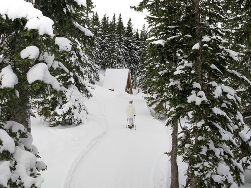Person mit Schneeschuhen auf präpariertem Winterweg durch verschneiten Wald – Naturresort Puradies, Leogang, Salzburger Land Person mit Schneeschuhen auf Winterweg, Naturresort Puradies