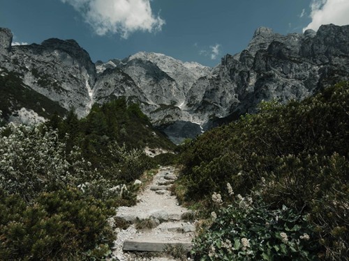 Steiniger Wanderpfad Richtung Leoganger Steinberge – Naturresort Puradies, Leogang, Salzburger Land Steiniger Wanderpfad zu den Leoganger Steinbergen, Naturresort Puradies in Leogang