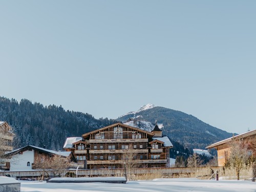 Traumquartier, im Hintergrund Bergpanorama, Puradies Leogang