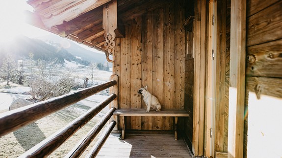 Hund auf der Chalet-Terrasse mit Blick auf verschneite Berge