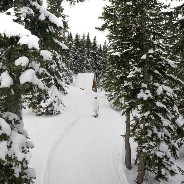 Person mit Schneeschuhen auf präpariertem Winterweg durch verschneiten Wald – Naturresort Puradies, Leogang, Salzburger Land Person mit Schneeschuhen auf Winterweg, Naturresort Puradies