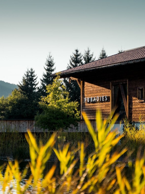 Naturbadeteich mit Schilf und Saunahaus bei Sonnenaufgang, Puradies Leogang