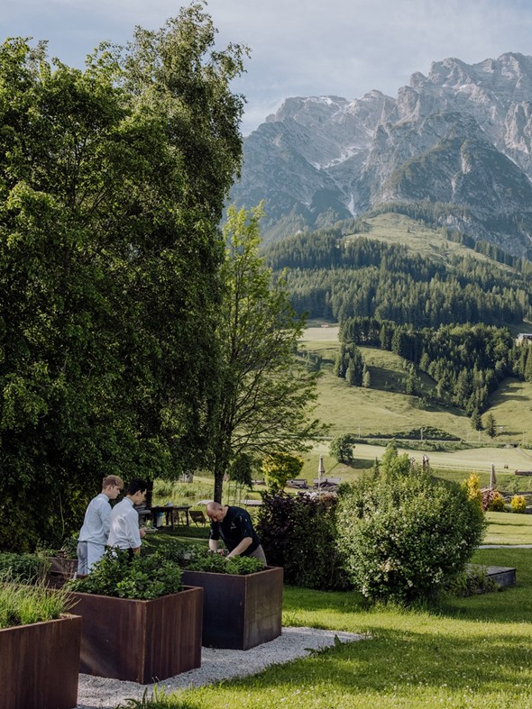 Küchenteam bei Kräuterernte mit Bergpanorama, Puradies Leogang